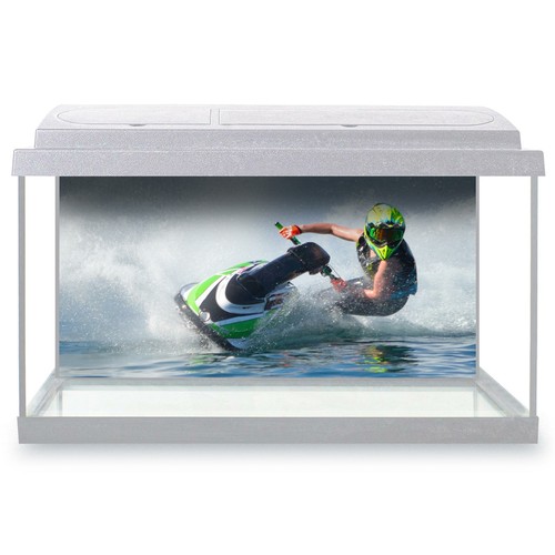 Fish tank background - fish,
