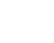 Multiflex Jet Ski Reverse